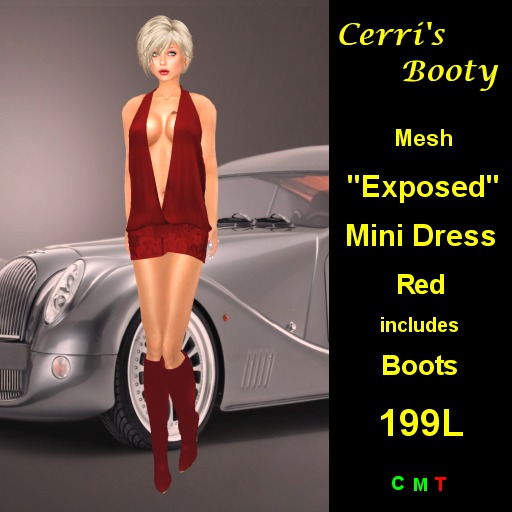 Cerri's "Exposed" MESH Mini Dress Red