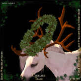 @CT@ Antlers WHM-L BOXED 