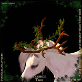 @CT@ Antlers WHM-L BOXED 