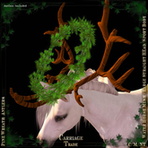 @CT@ Antlers WHM-L BOXED 