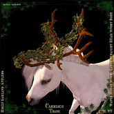 @CT@ Antlers WHM-L BOXED 