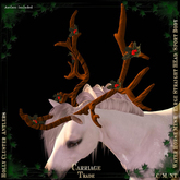 @CT@ Antlers WHM-L BOXED 