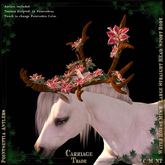 @CT@ Antlers WHM-L BOXED Pointsettia