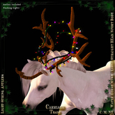 @CT@ Antlers WHM-L BOXED 