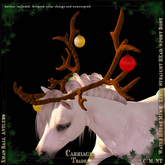 @CT@ Antlers WHM-L BOXED 