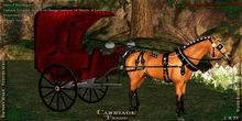 @CT@ Doctor's Buggy WHML Single