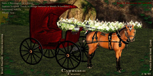@CT@ Buggy Phaeton WHML Single BOXED 