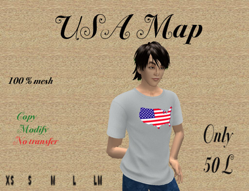 USA map