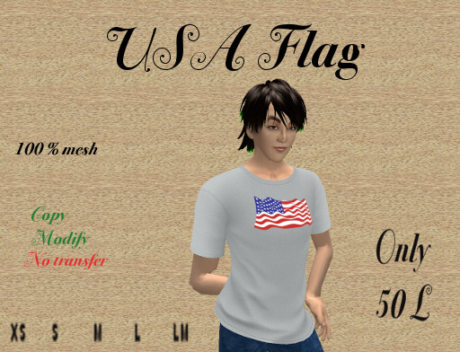 USA flag