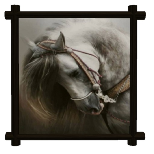 Horse Frame