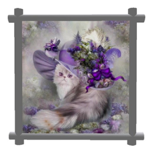 Cat Frame
