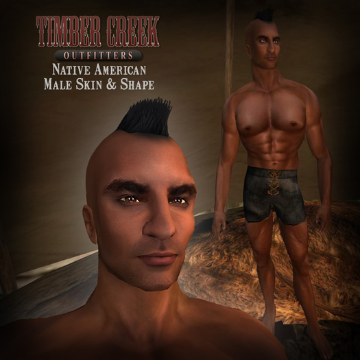 [Timber Creek] Native American Male Shape & Skin Set-Boxed