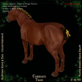 @CT@ Harness M-T Set WHM-D (BOXED)