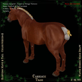 @CT@ Harness M-T Set WHM-D (BOXED)