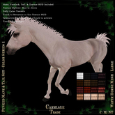 @CT@ Punked Mane & Tail set BOXED Color Series 