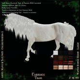 @CT@ Ariel Mane & Tail Set WHML BOXED  Color Series 