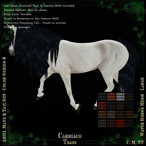 @CT@ Ariel Mane & Tail Set WHML BOXED  Color Series 
