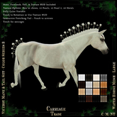 @CT@ Viceroy Mane & Tail Set BOXED Color Series 