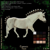 @CT@ Viceroy Mane & Tail Set BOXED Color Series 