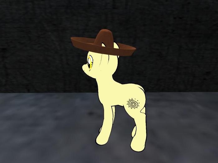 Pony Mexican Hat
