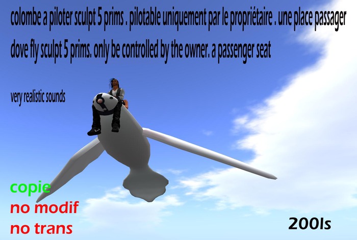colombe  a piloter