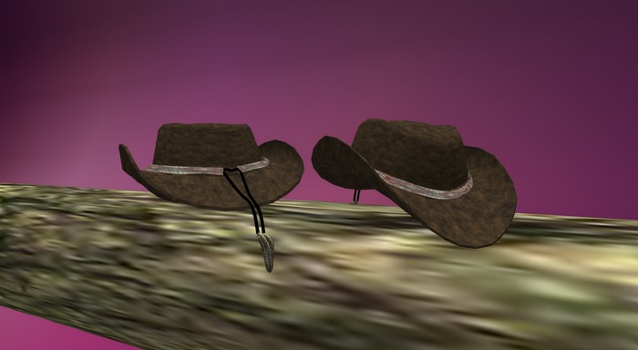 Straw Hat 1