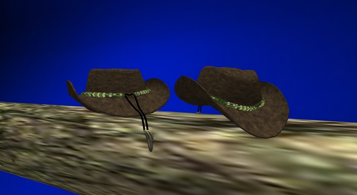 El'Dorado Brown Hat 7