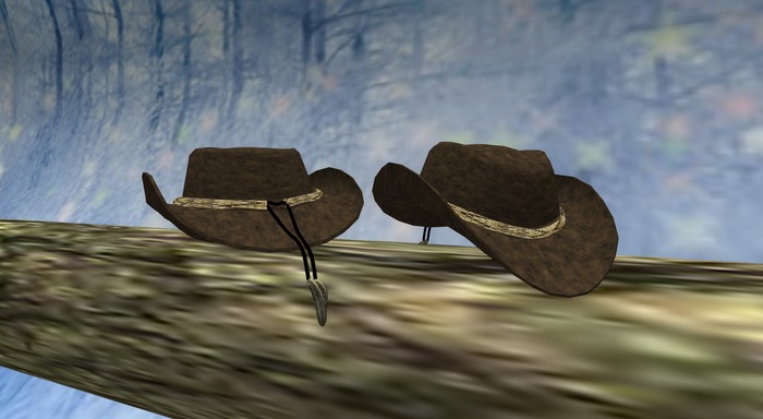 El'Dorado Brown Hat 4 v.2