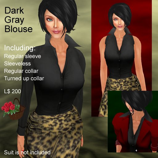 Reico Dark Gray Blouse