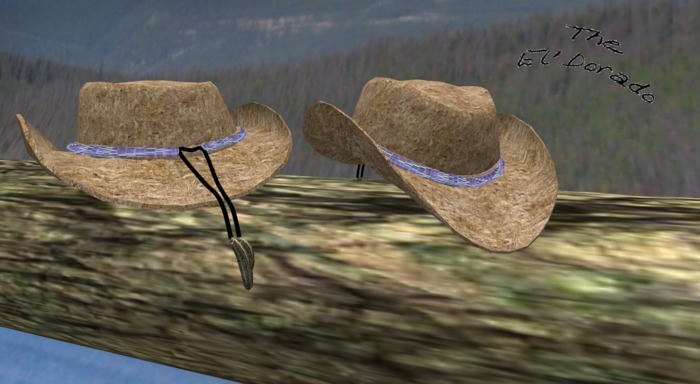 Straw Hat 5 v.2