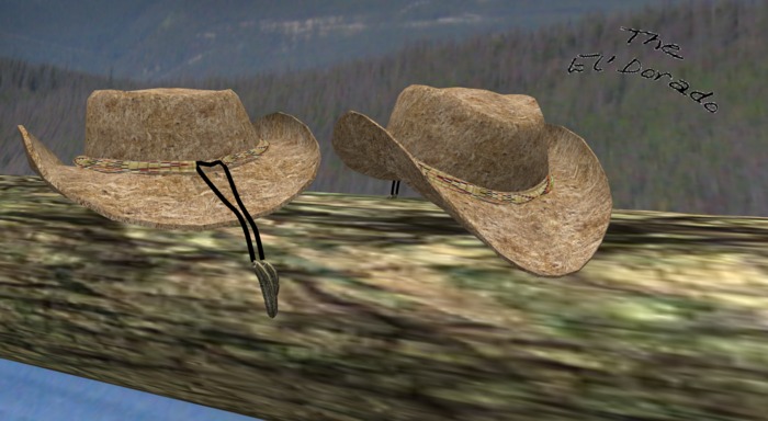 Straw Hat 6 v.2
