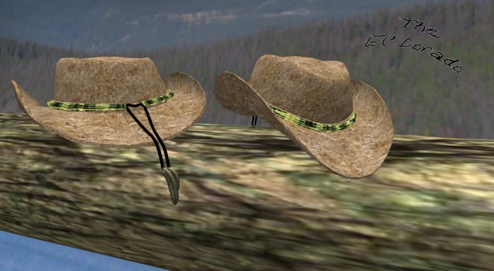 Straw Hat 14 v.2