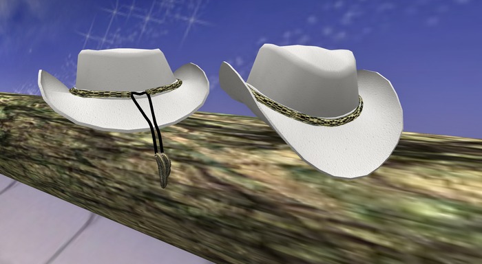 Straw Hat 1