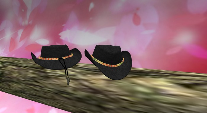 Straw Hat 1