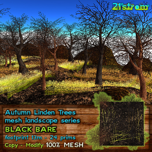 21strom Autumn Linden Tree mesh landscape [Black Bare] - copy, modify