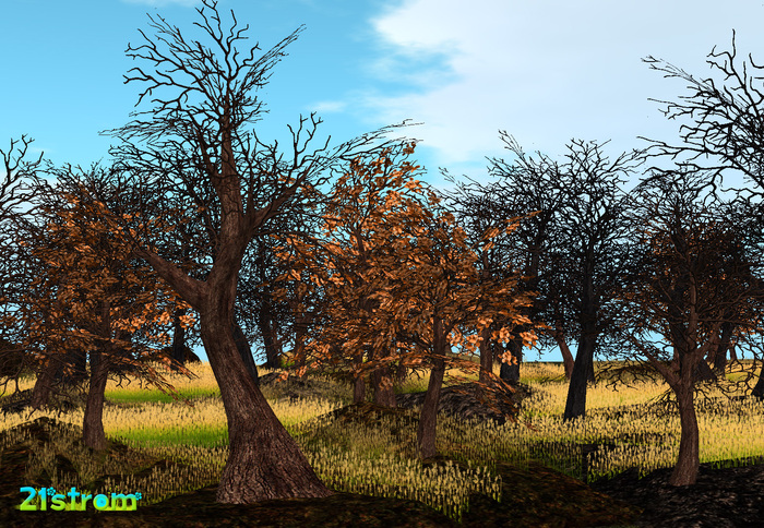 21strom Autumn Linden Tree mesh landscapes [multipack] - 3 landscapes, copy, modify