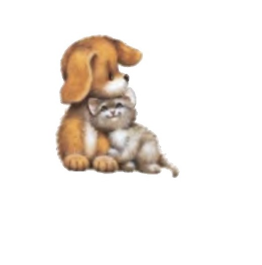 Dog and cat 1 animated image "PROMO"