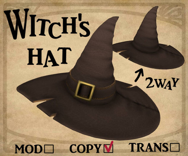 witch's hat---brown