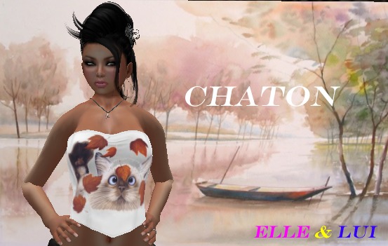 top chat