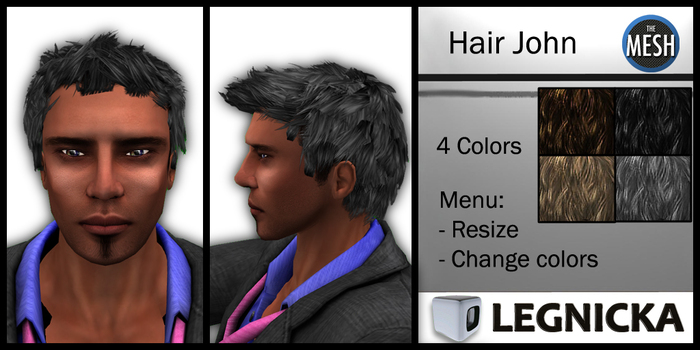 LEGNICKA - John Hair