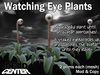 Eyeplant1