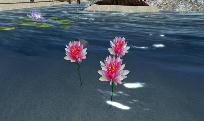 Realistic Lilypad Pink flowers (Boxed)