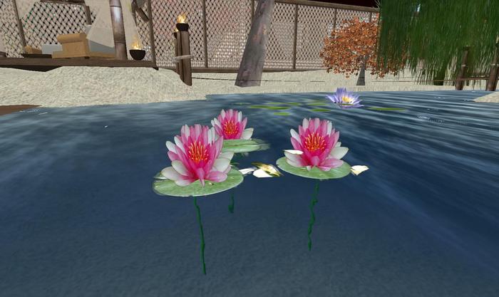 Lily pads Realistic flowers (Boxed)