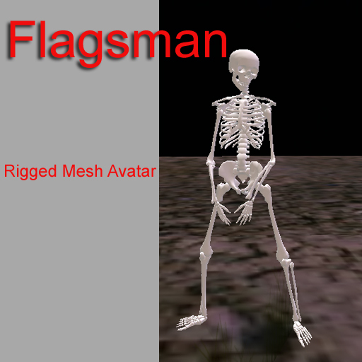 Flagsman Skeleton Rigged (White) 