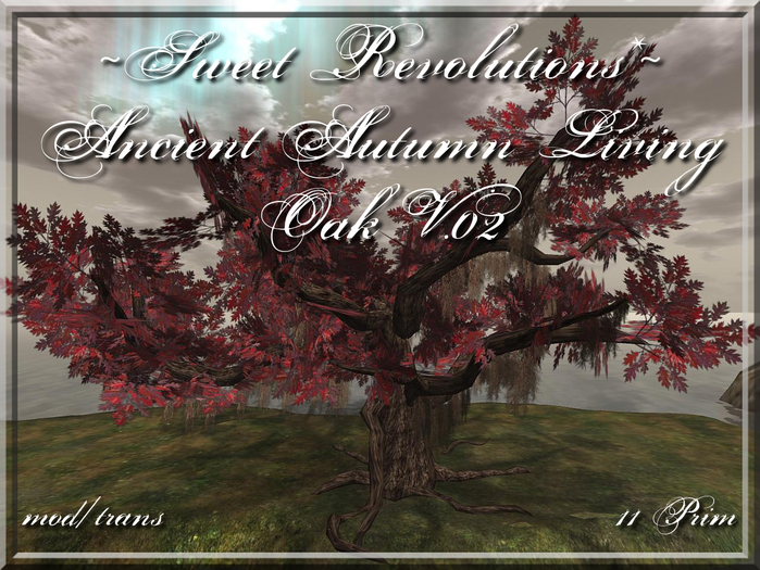 ~*SR*~ Ancient Autumn Living Oak m/t V.02 Box