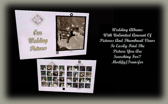Wedding Photography Album- Daisy In May *CHB*