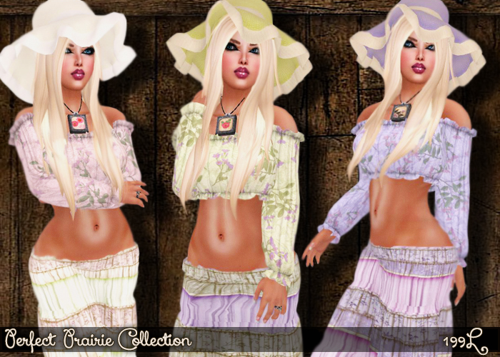 Souled Out  Perfect Prairie Collection
