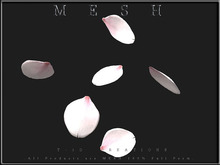 T-3D Creation [TRAY  No.13] MESH - Full Perm