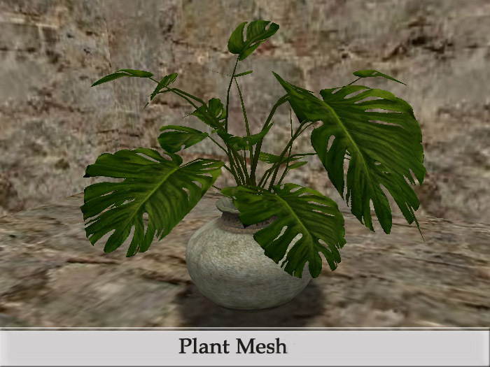 Decor Plant Interior