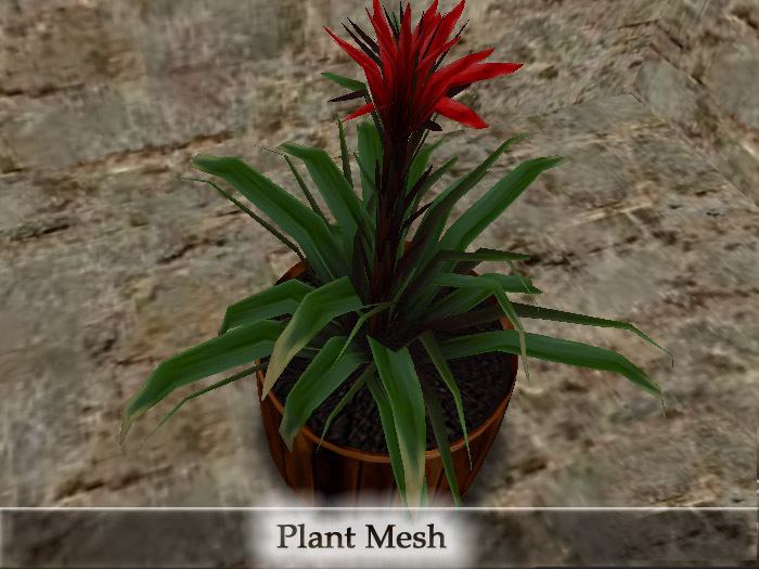 Decor Plant Interior 2